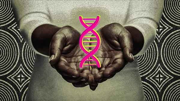 African American DNA Testing